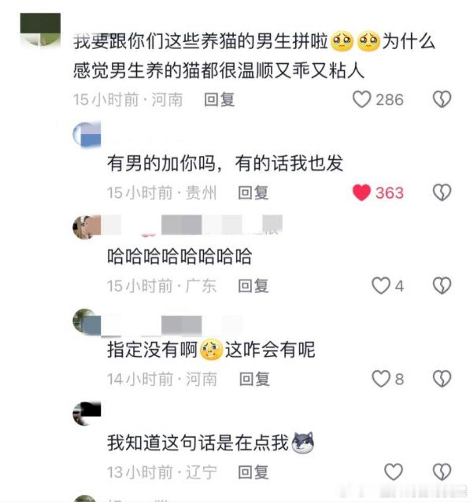 为什么男生养的猫又乖又粘人