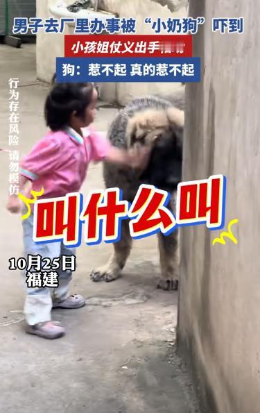 笑不活，10月25日，福建一男子到厂里找厂长办事，结果被护厂狗“堵住”狂吠，随即