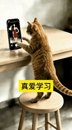 谁能料到一只小猫咪，居然偷偷刷起了短视频，还现场复刻起了舞姿，可爱值直接拉满。主