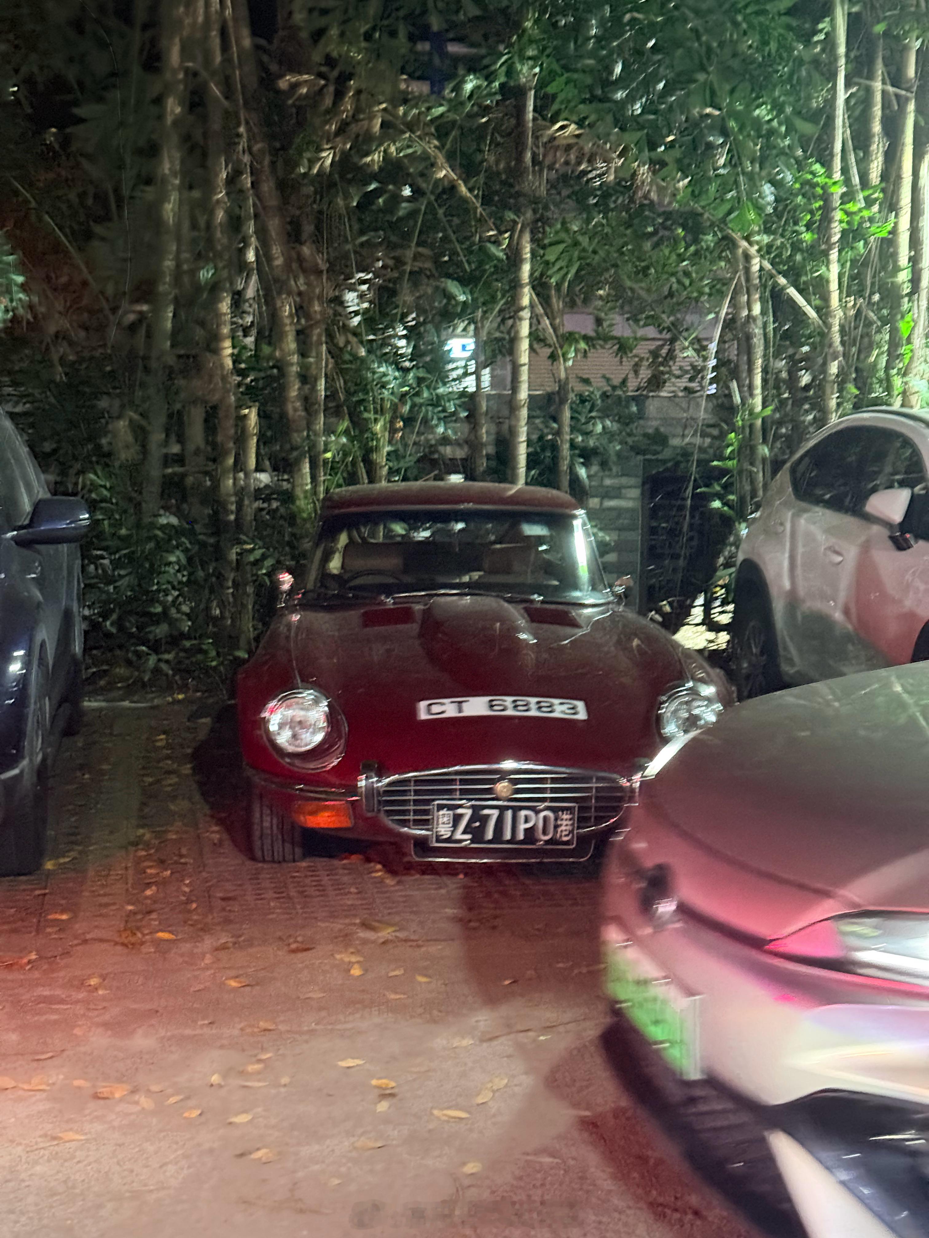 充个电，看到了什么稀罕车！