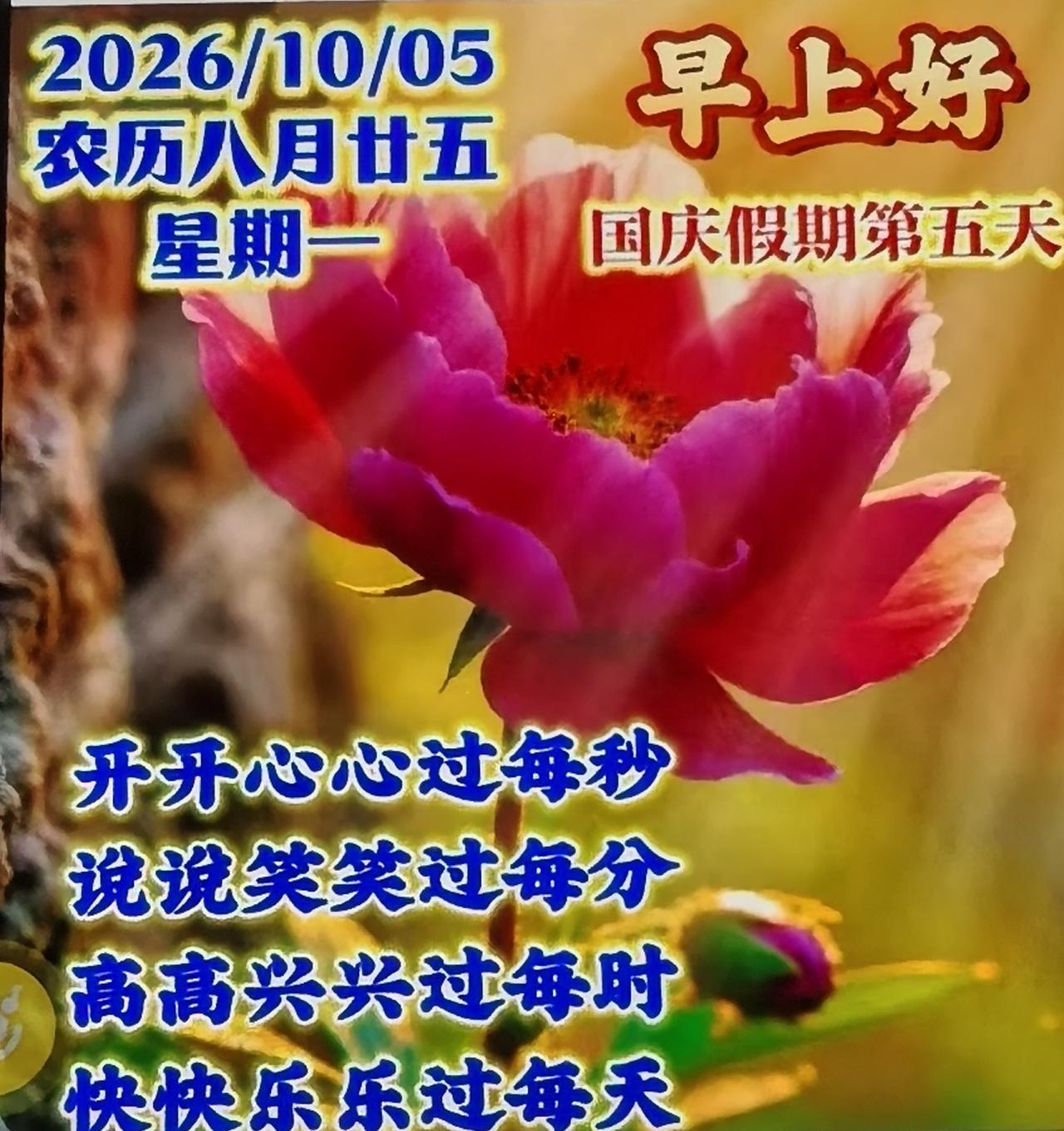 早安吉祥，新周愉快！国庆假期第五天，清晨送上问候，愿你好运连伴左右，身体健康无