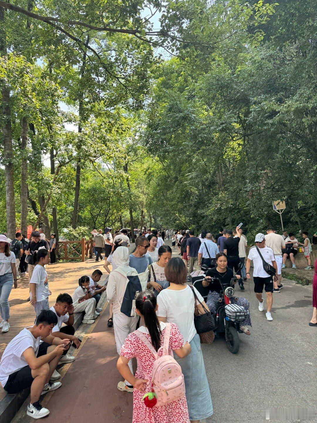 贵州旅游今年太火了，可能因为附近省份又遇到高温，所以贵阳这边大家都涌进来避暑，让