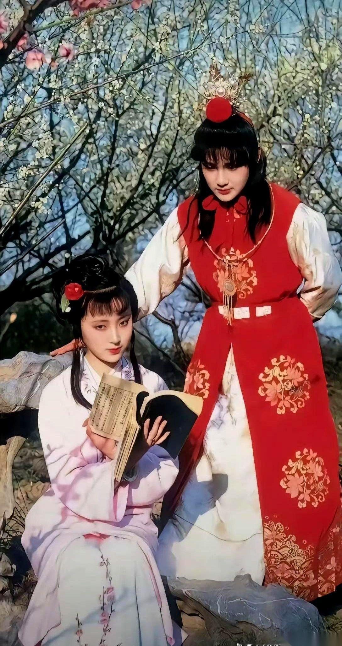 我今天才知道，林黛玉葬的根本不是花。她葬的是“华”，是华夏的华。我整个人，后