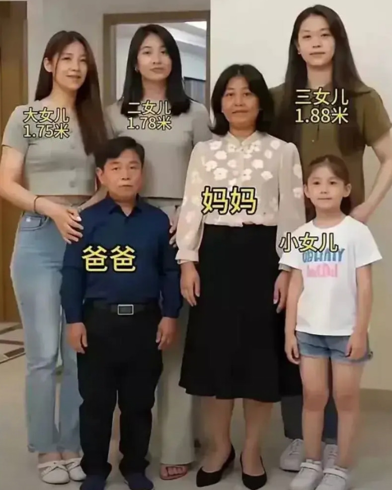 不管如何，我都愿意叫他岳父