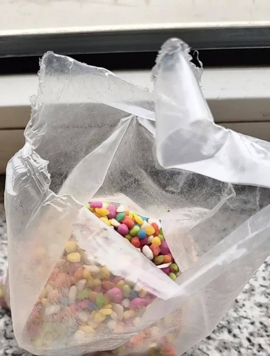河南，一名女子养了一些鱼，刚开始的时候，她往鱼缸里倒了一些彩色石子，用来装饰，可