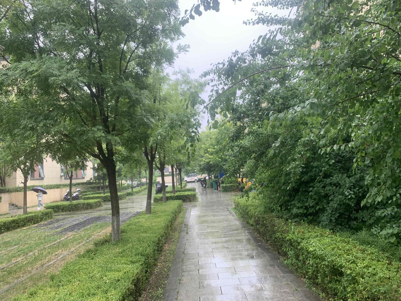 补课老师的罪过不光是敛财，更是国家的罪人，教育成本的增加，直接导致年轻人不婚不育