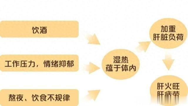 湿热难除, 多是证型不分, 用好三个药, 这些湿热都能统统清干净