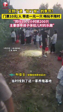 “聪明人干啥都赚钱！”江苏，一家养殖“知了猴”基地，老板竟然以10元一人的门票，