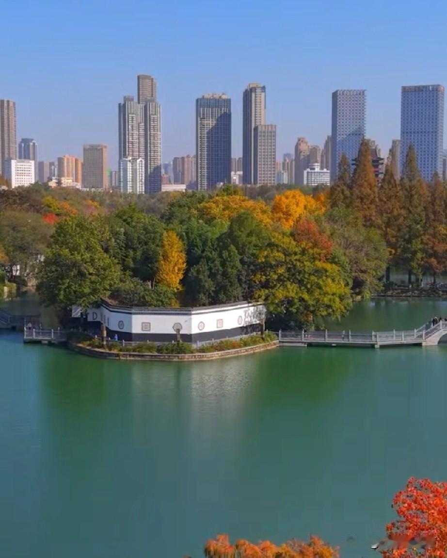 合肥的首位度排名第13名，前面还有12位更厉害的“大佬”首位度，简单理解就是省