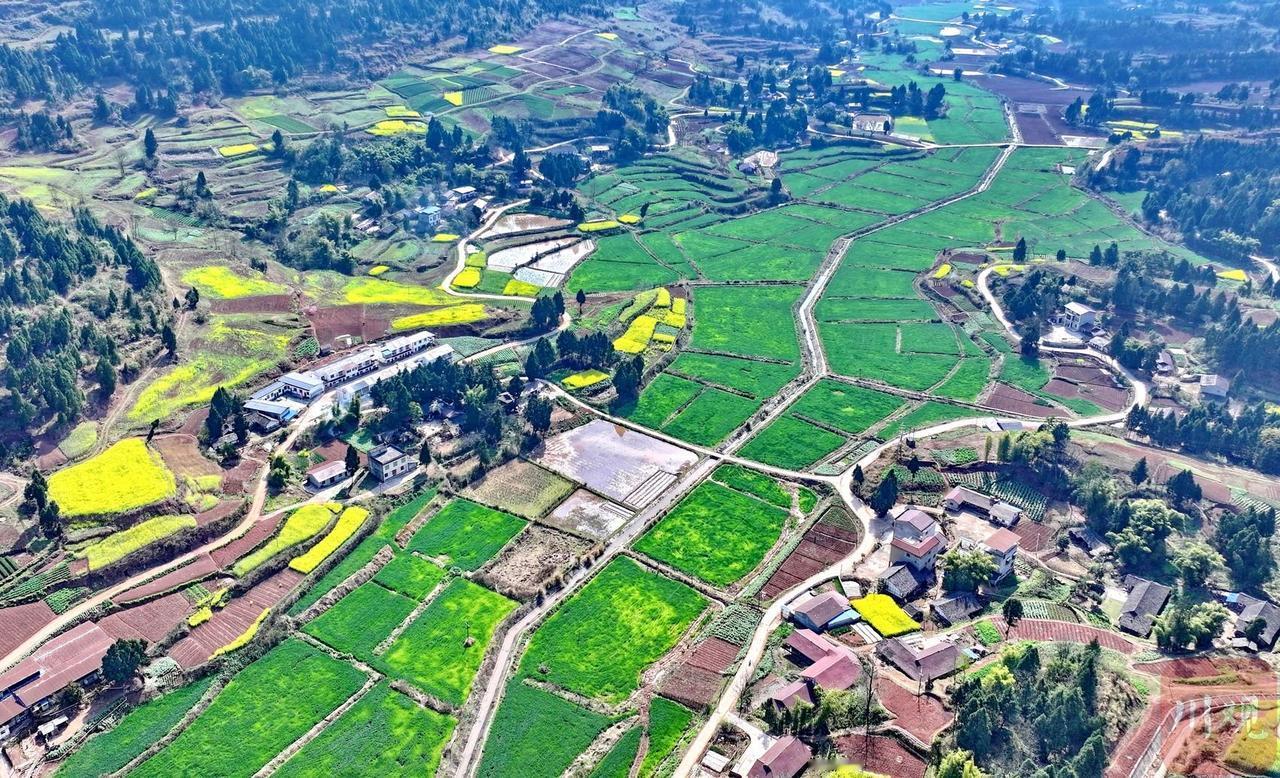 说个冷知识:现代四川盆地的粮食极限增产潜力其实挺大，或者说退化严重！四川作为建国