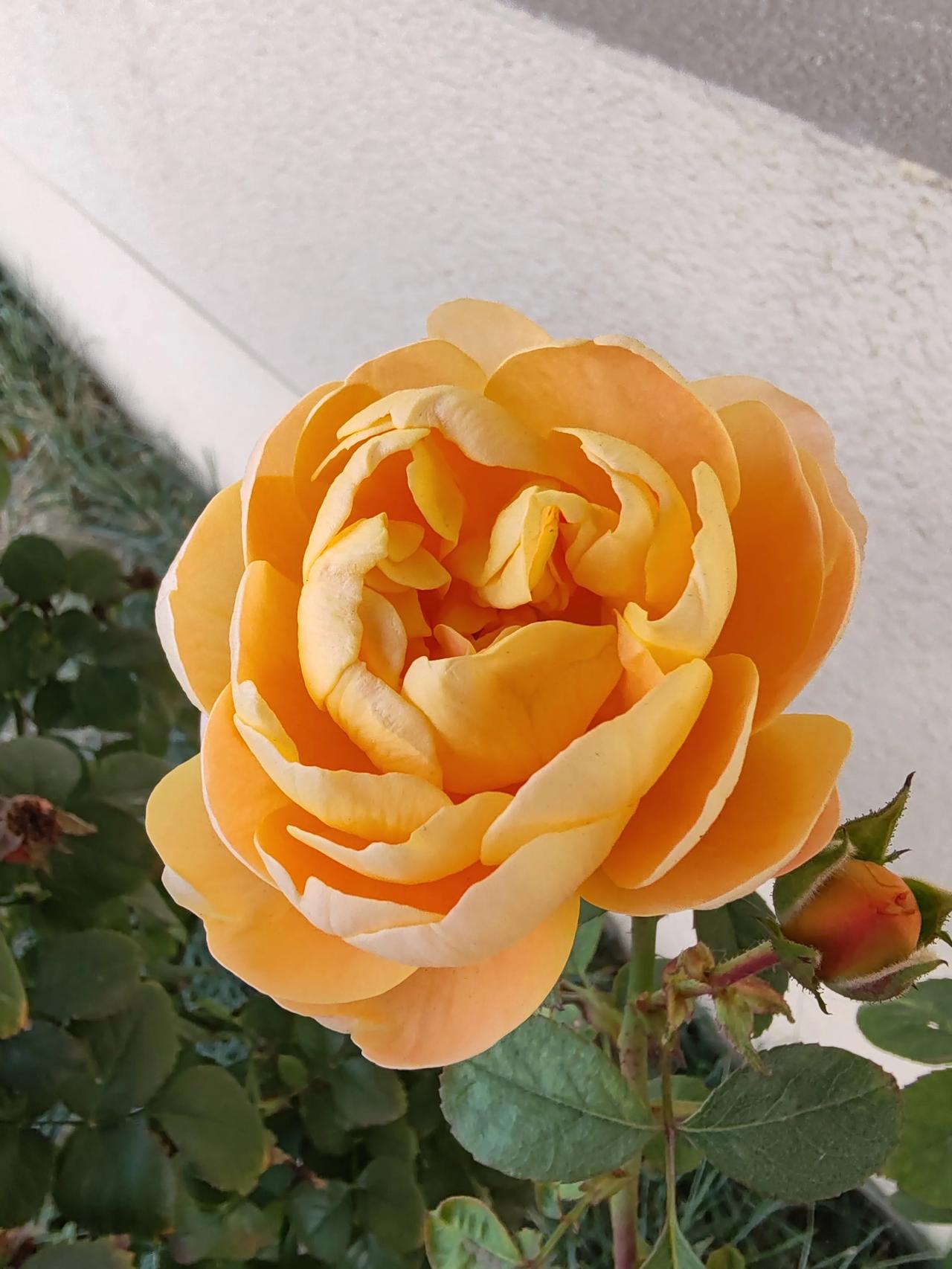 晒图笔记大赛随手拍。