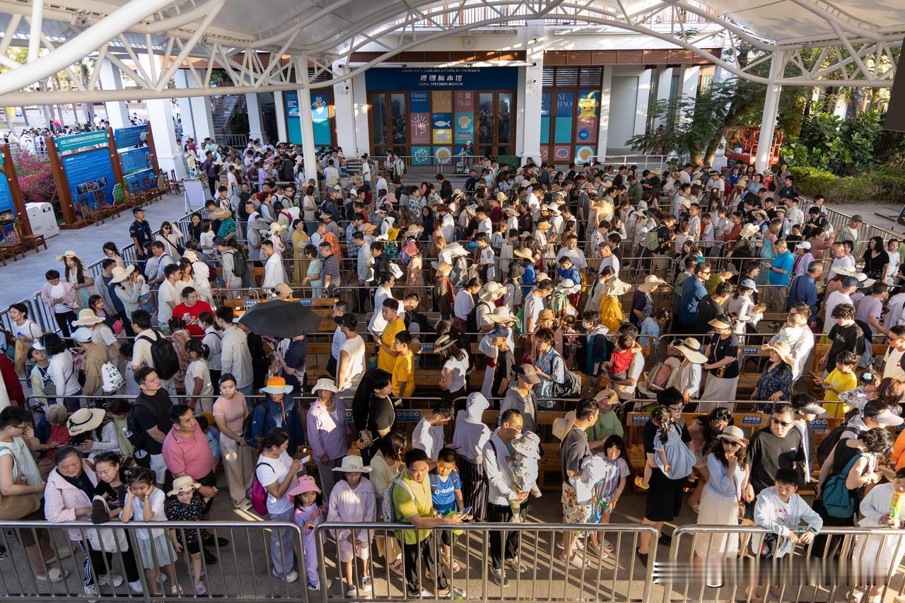 朋友问我：春节去西岛，到底挤不挤？我说实话：登岛排队是有的，离岛高峰也是真的。官