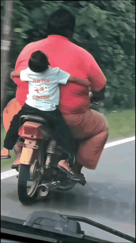 小时候大都想自己的爸爸长成一棵大树一样。