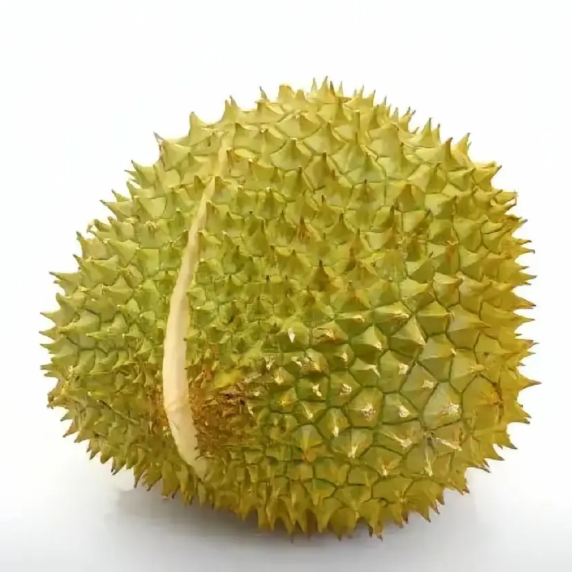 宠老婆的男人，家庭都不幸福，女人别不愿意听。每个家庭都是这样，如果男人老是宠着