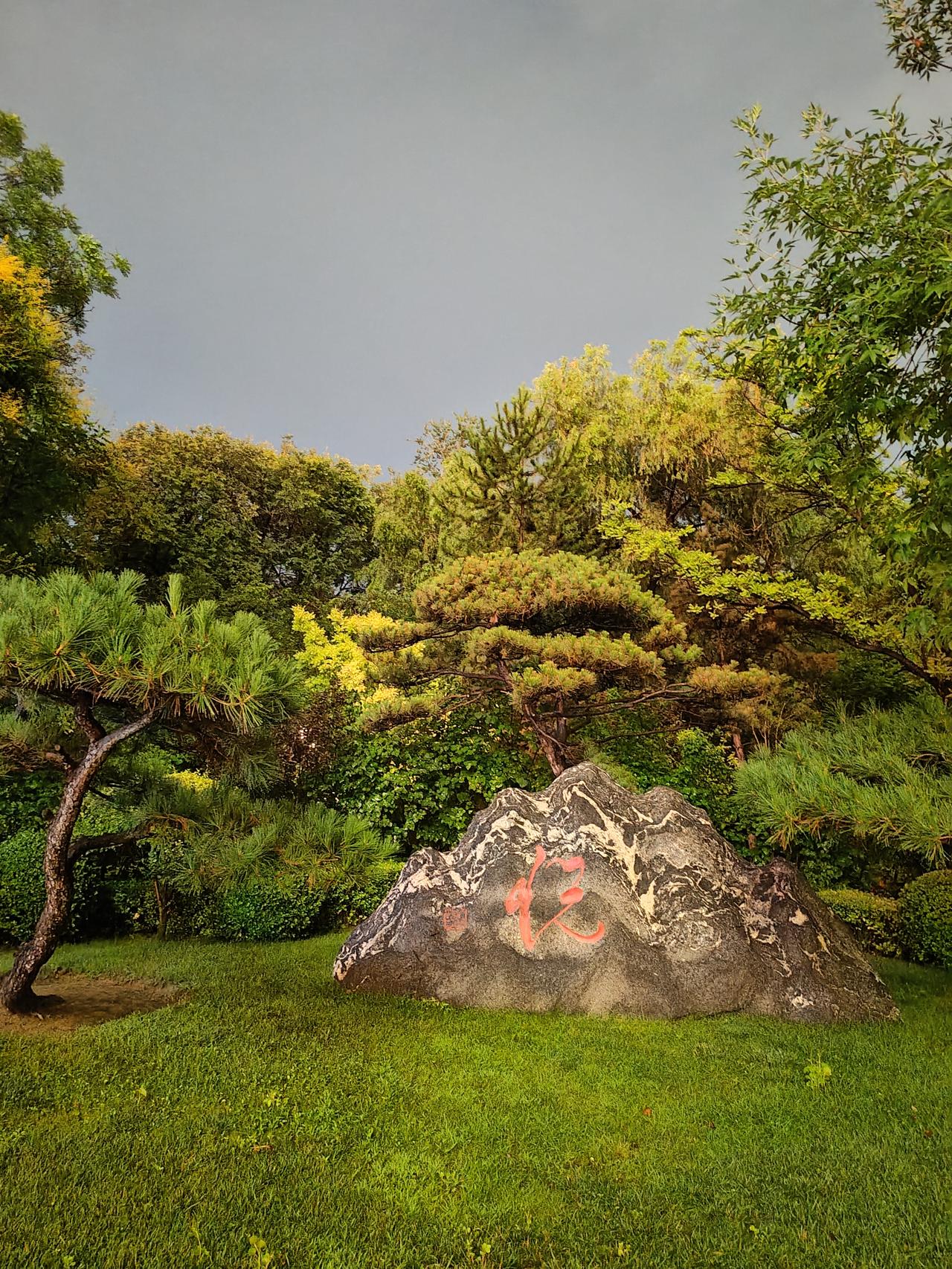 雨后的傍晚，漫游迎泽公园，感受夜幕下的景色。