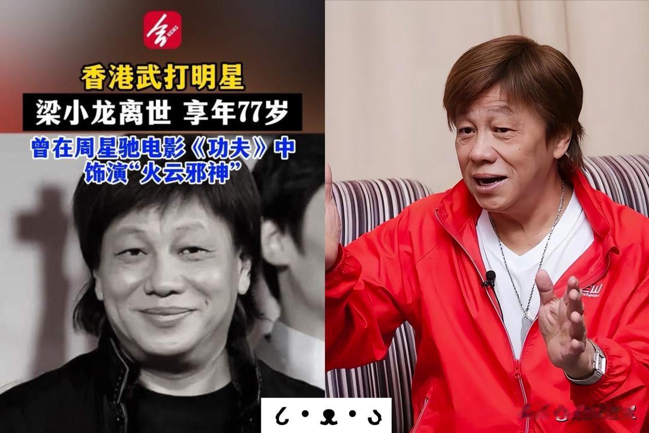 我预料到了梁小龙会慢慢老去，也预料到他可能会淡出银幕。但是万万没想到，20