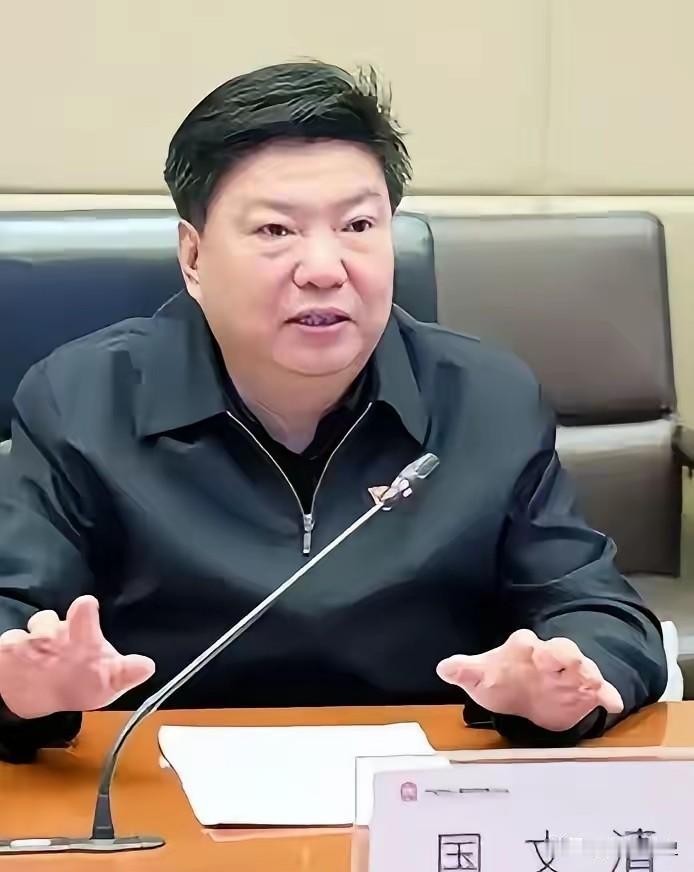 国文清投案，印度那座全球最大高炉该不该建？​​​五矿原总经理国文清投案了，消息