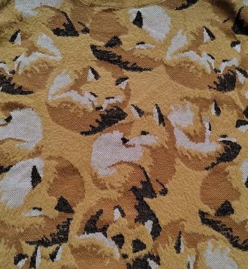 狐狸中混入了一只浣熊（？​​​