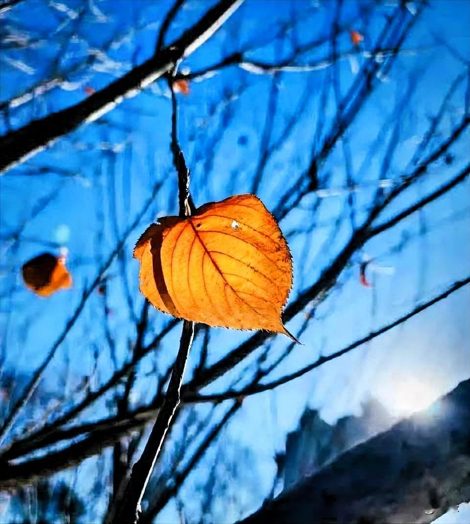 越来越发现，人只要太把自己当回事儿，坑的都是自己。一旦不把自己太当回事儿