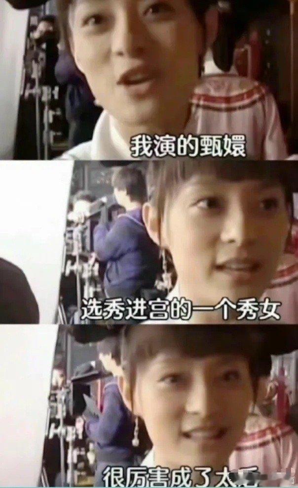 以后谁再来问我《甄嬛传》是演什么的？我就甩给他这张图，他就懂了。