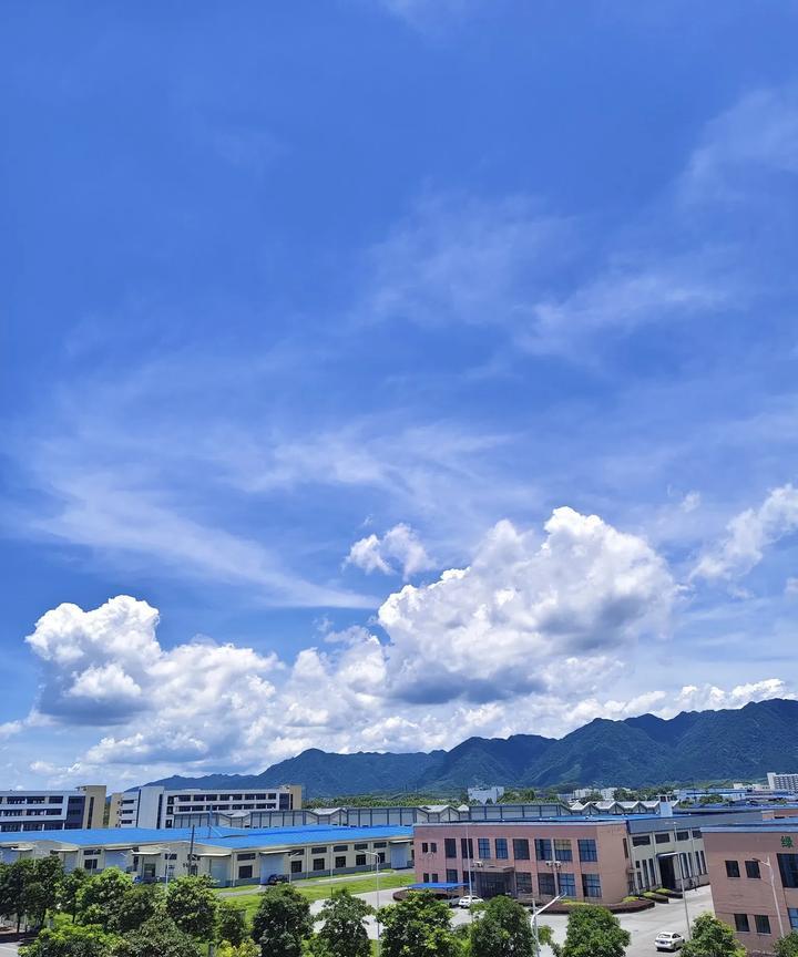刚刚，儿子给我打来电话，很沮丧的告诉我他的高考成绩。我一下子气得肚子疼，实在太失