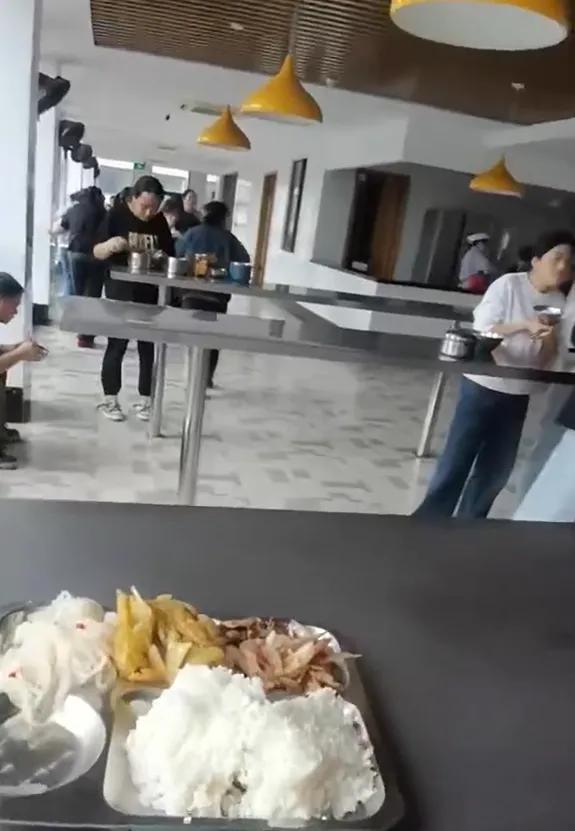 "上班坐一天，吃饭还不让坐？"近日，浙江温州一段企业食堂视频引爆网络。画面里，