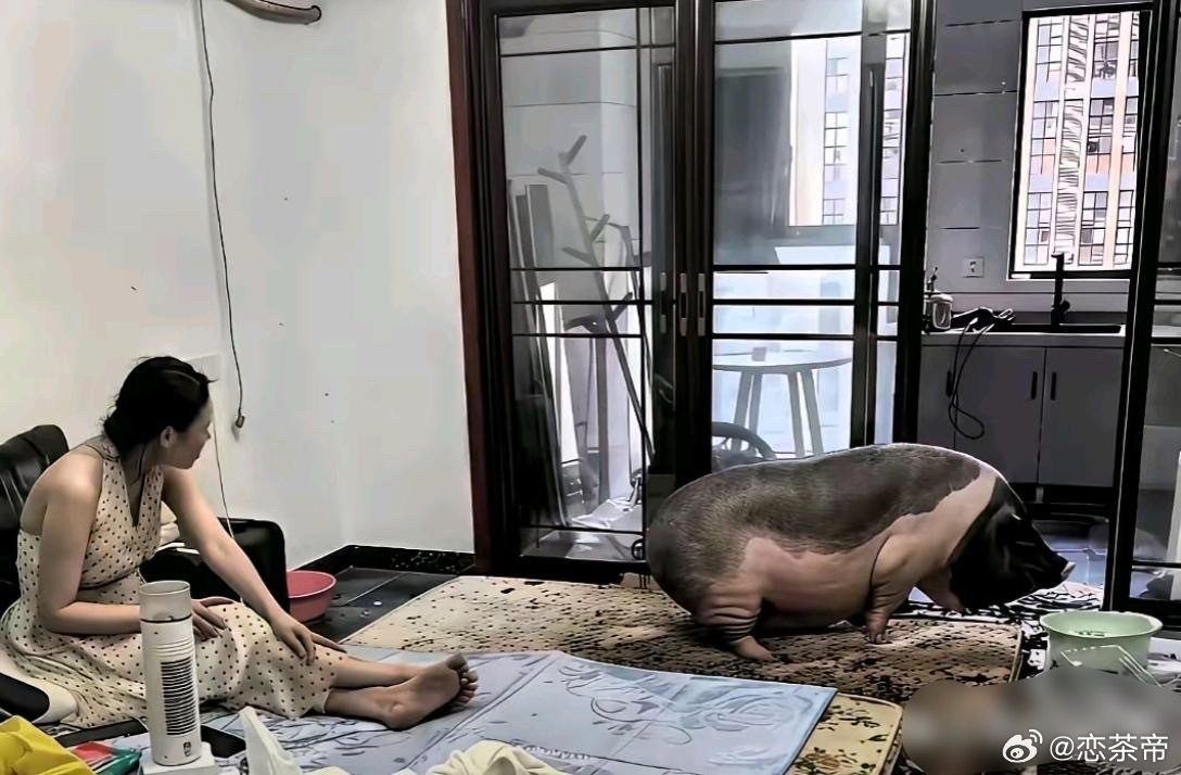 天呐，这种可真接受不了。