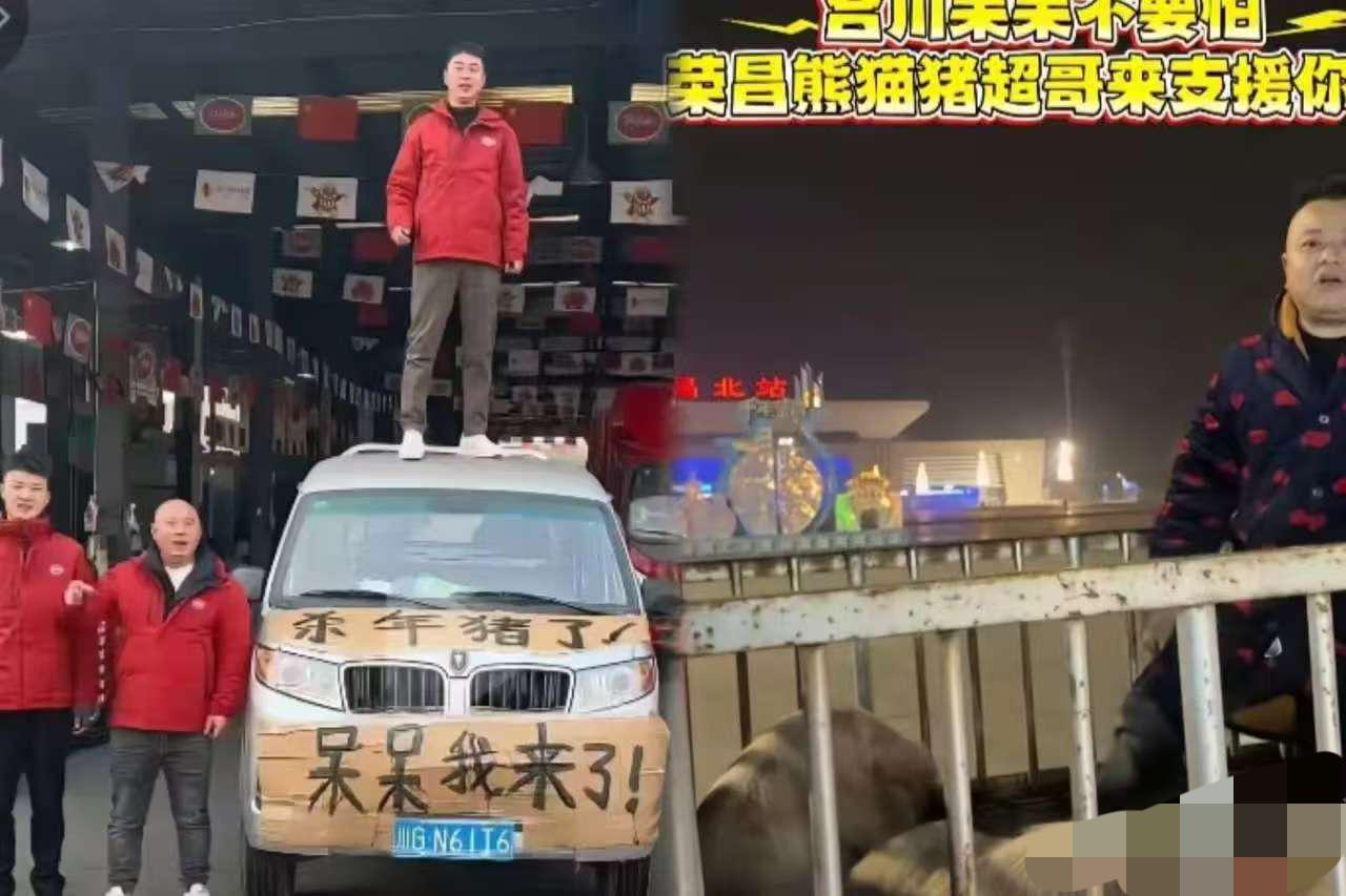 果然呆呆家今晚收不了场的原因找到了你看看这阵仗，前脚荣昌家富农科的猪刚送到，