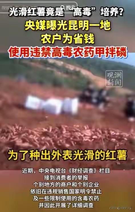 如果不是央视的报道谁会想到餐桌上的青菜、萝卜、红薯竟然含有剧毒敌百虫！相关部