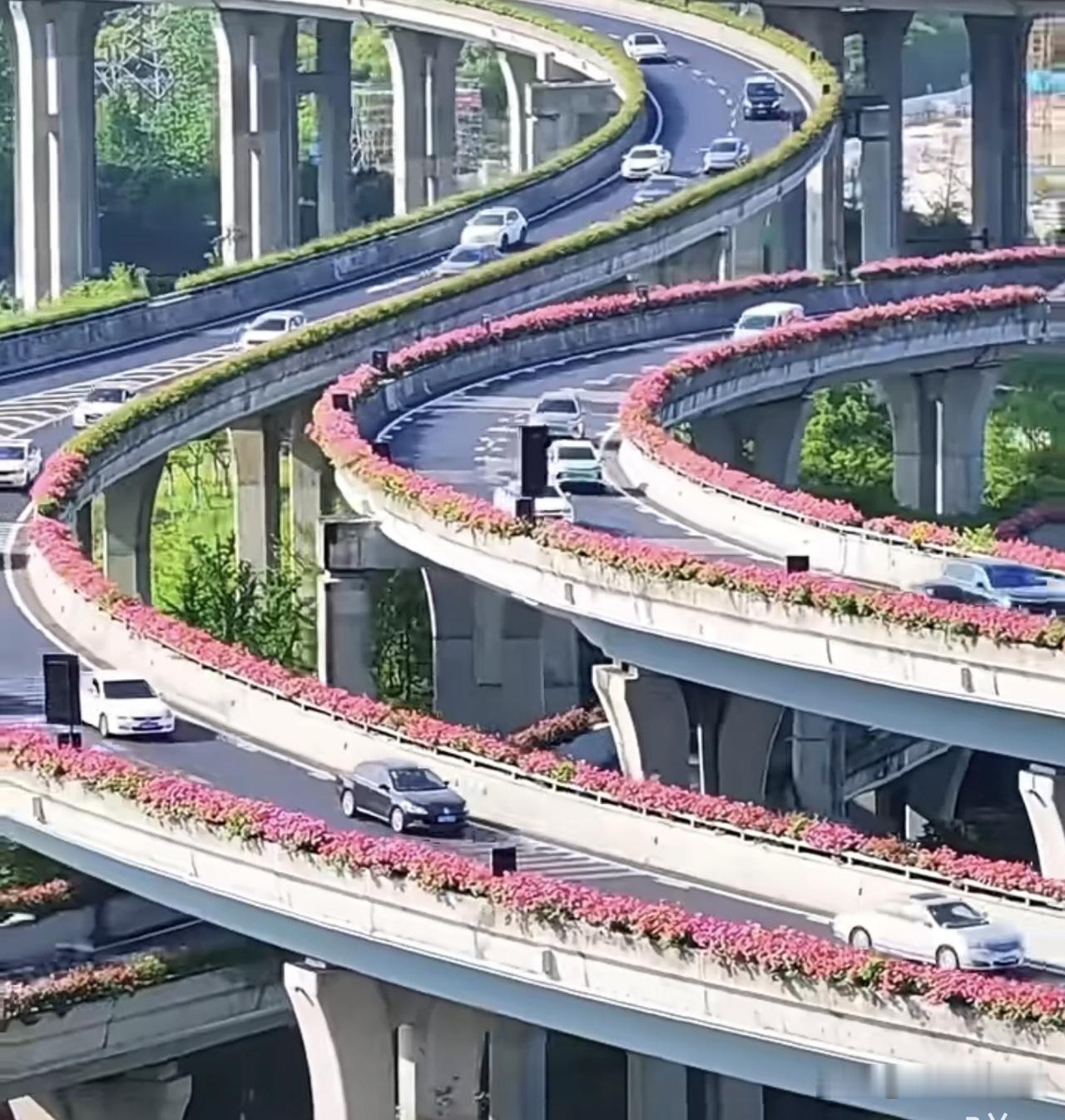 这是河南交警发给我的信息：【河南省交警】您的驾驶证(4109**********