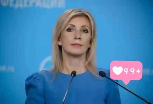 俄罗斯外交部发言人表示了！据俄罗斯卫星通讯社、塔斯社报道，俄罗斯外交部发言人