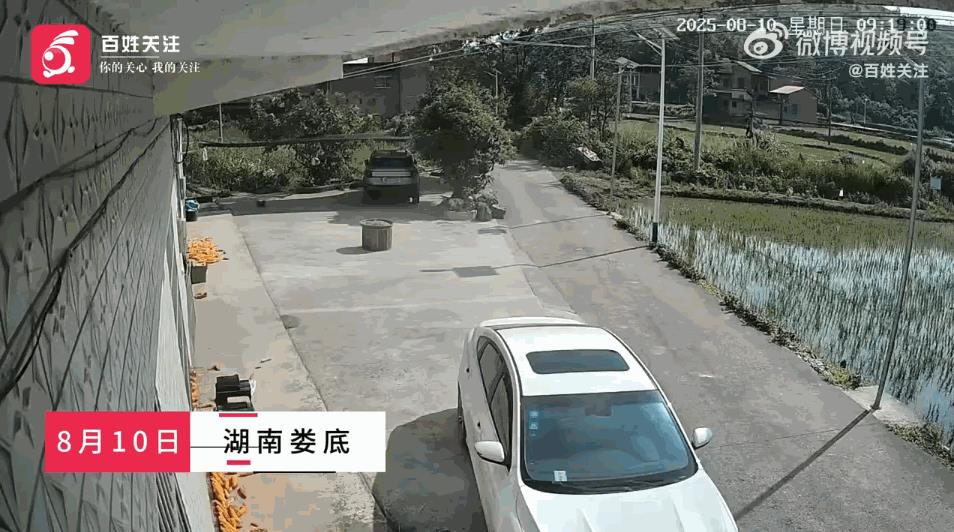 “命真大啊！”8月10日，湖南娄底，一男子维修3楼楼顶时，脚底一滑，失去平衡头朝