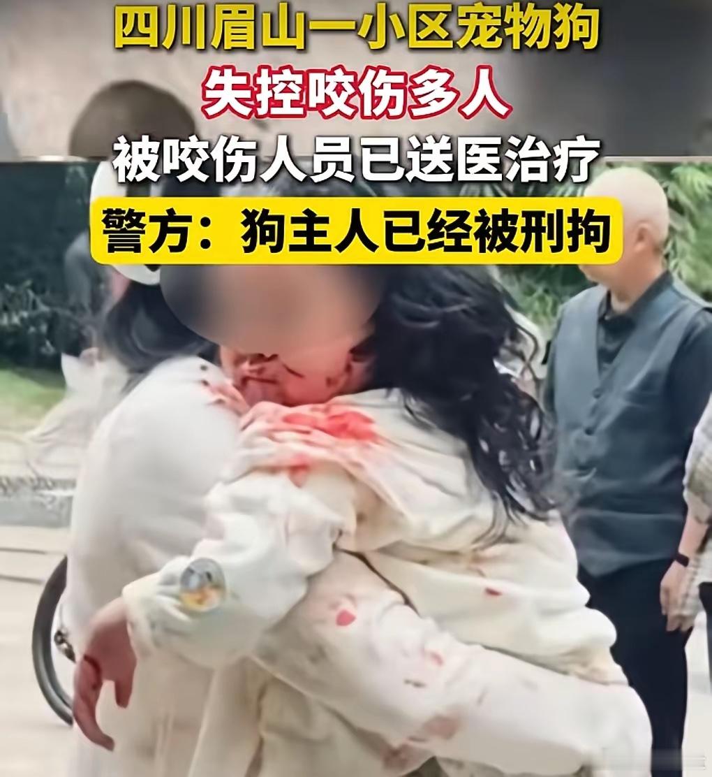 四川眉山仁寿咬伤5人的牛头梗犬被处S了狗主人也被相关部门带走原来狗主人不是遛狗没