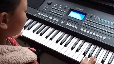 梁祝(Psr-S650)电子琴演奏_土豆视频