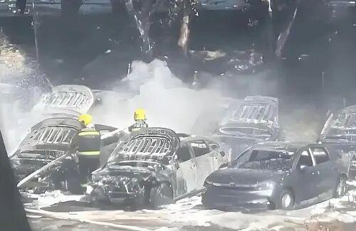 “闯大祸了！”5月30日，辽宁大连，一大爷看到路上堆着大量杨絮，觉得影响自己锻炼