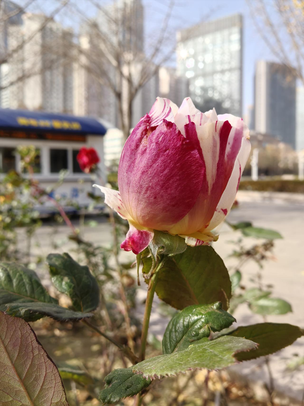 女儿上班以后的工资，父母要不要帮忙保管？同事的女儿上班以后，第1个月的工资就