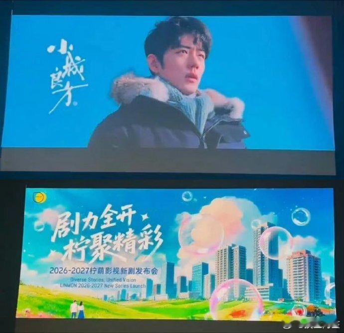 肖战一共五部作品《藏海传》《得闲谨制》《谍报上不封顶》《射雕英雄传侠之大者》《小