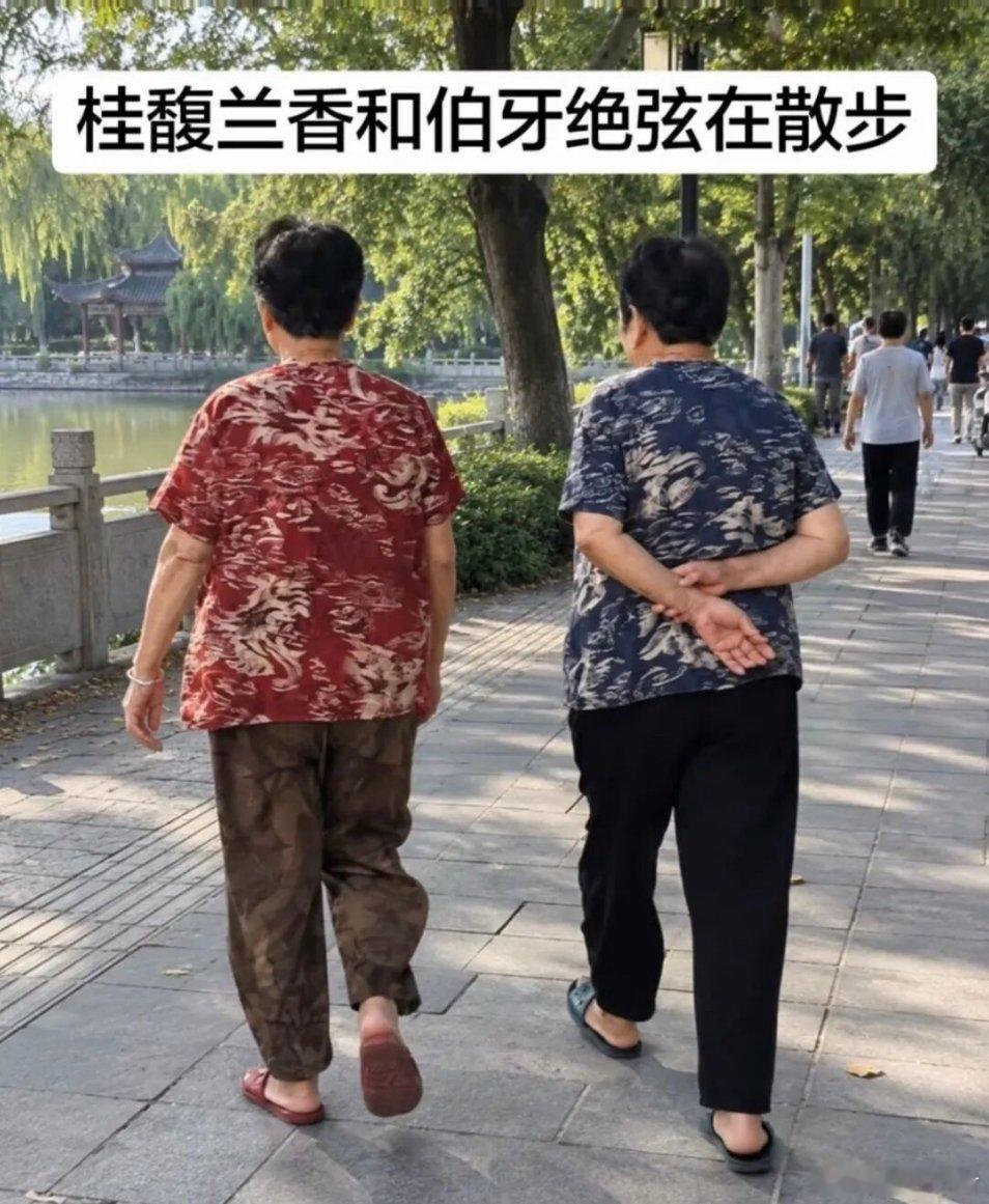 网友们真是太有才了…[赞][大笑]​​​