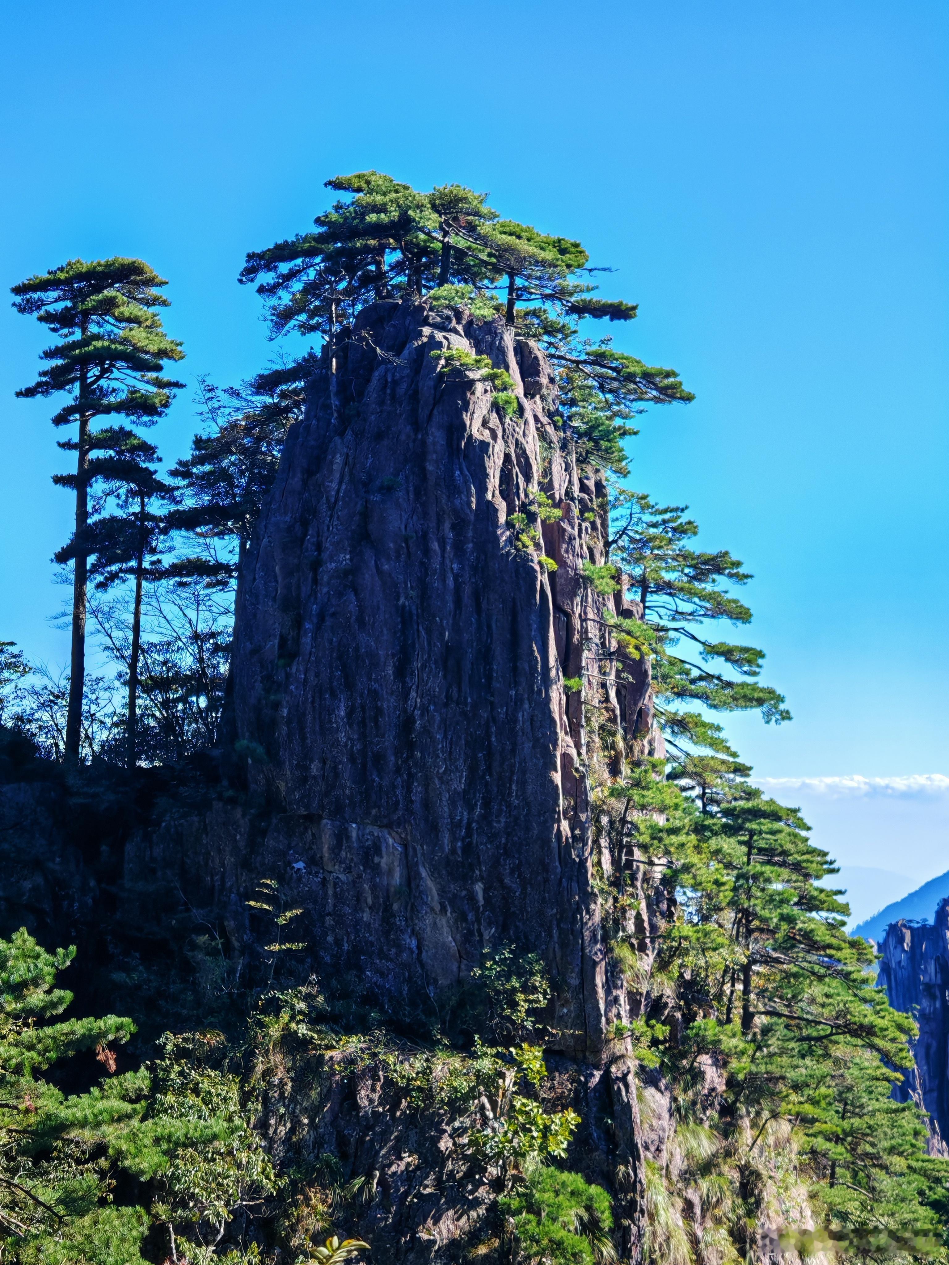 五一踏上黄山之旅，步步皆风景，心醉神迷，仿佛步入仙境之中～去黄山旅游一定要看好自