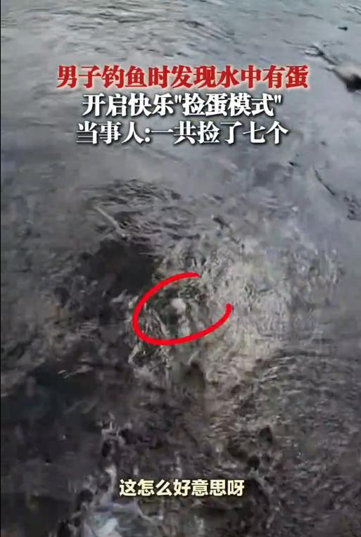 “这简直是捡钱啊！”8月18日，浙江，一男子去河边钓鱼，结果看到水中有2个鸭蛋，