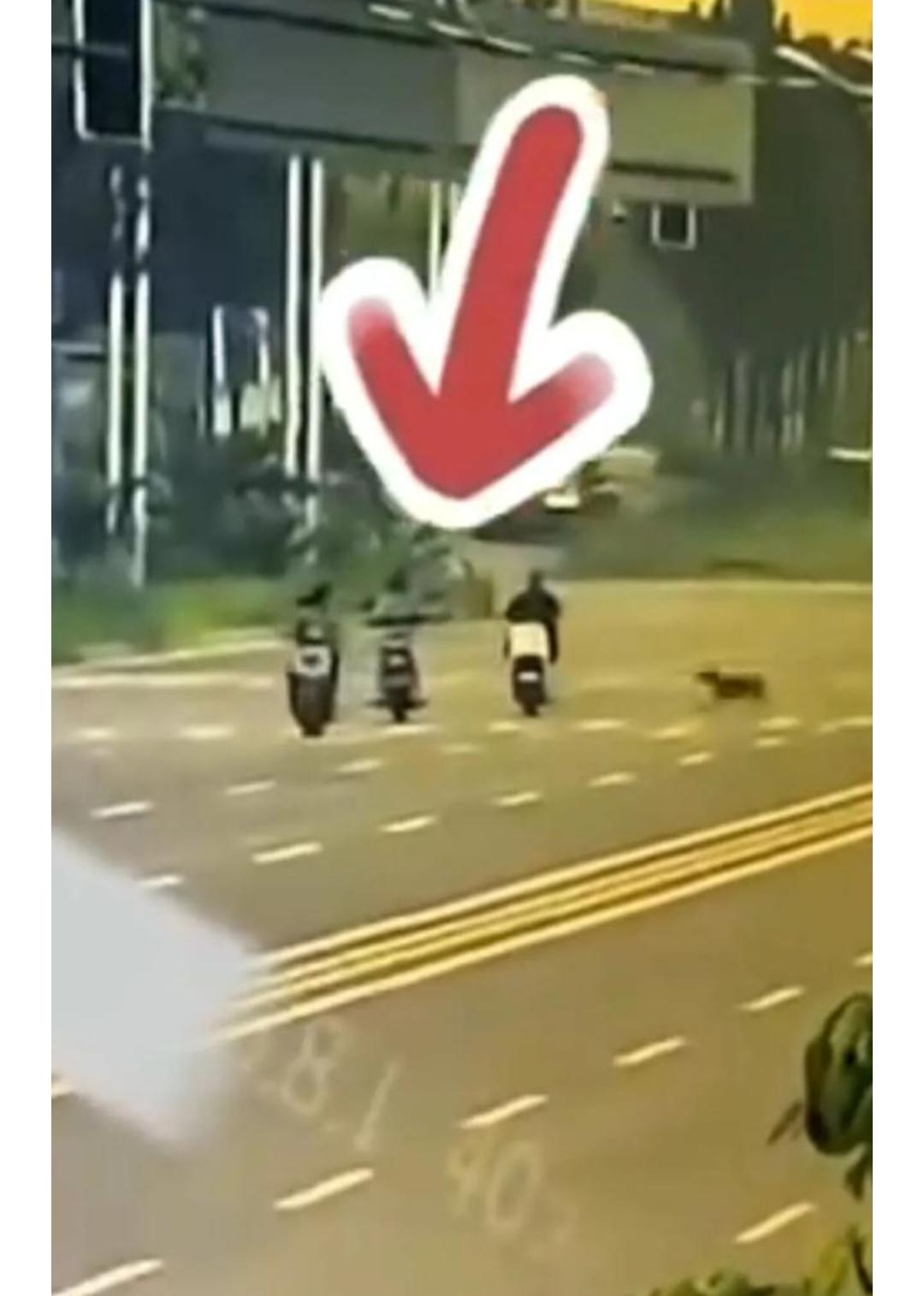 一条没拴的狗，五个月“撞毁”一个家：妈妈被撞身亡，爸爸累倒进ICU，留下三个娃。