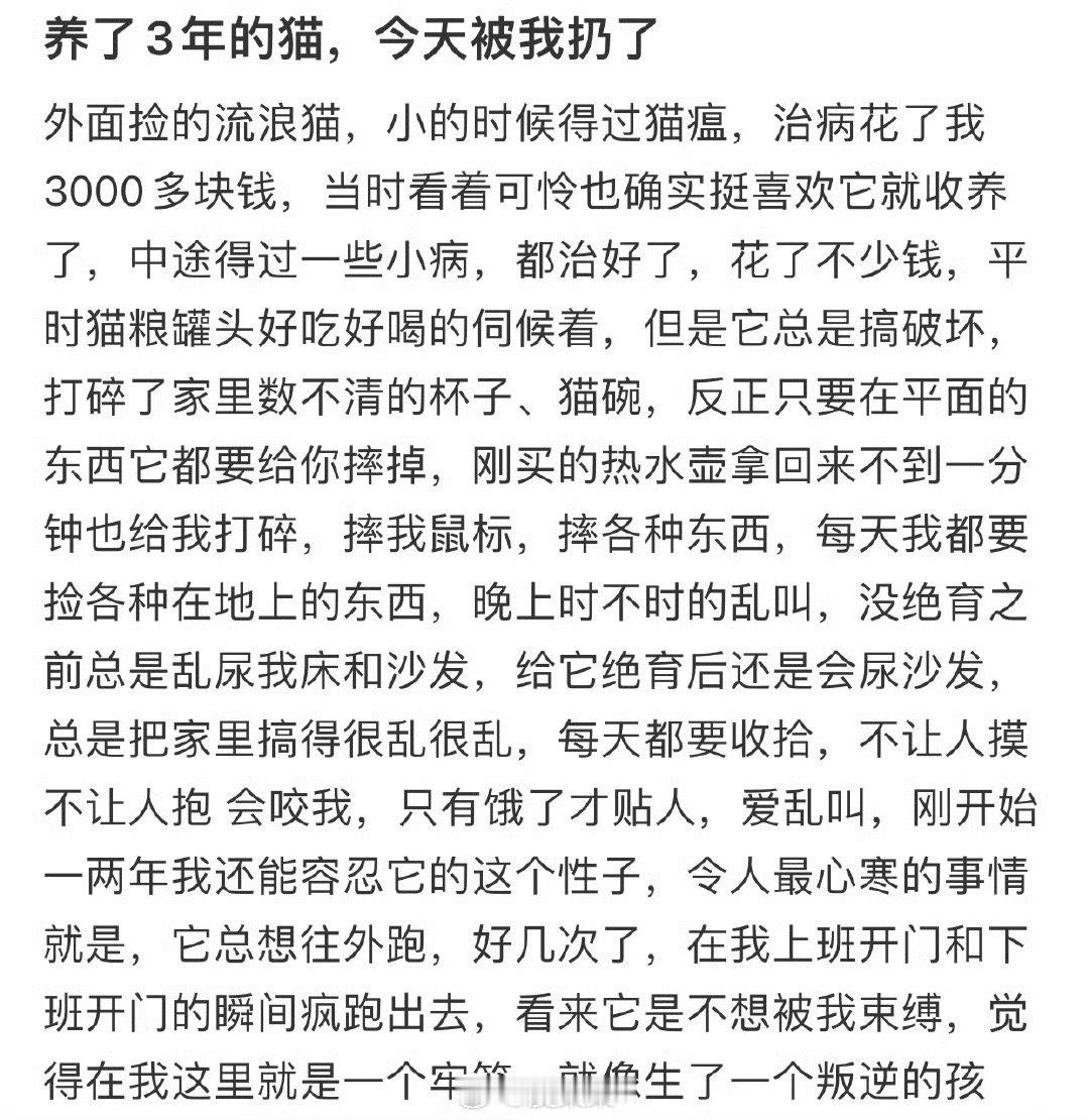 这种白猫家养了三年还能有什么野外生存能力呢？铺垫了一堆结果是为遗弃做准备的都养猫