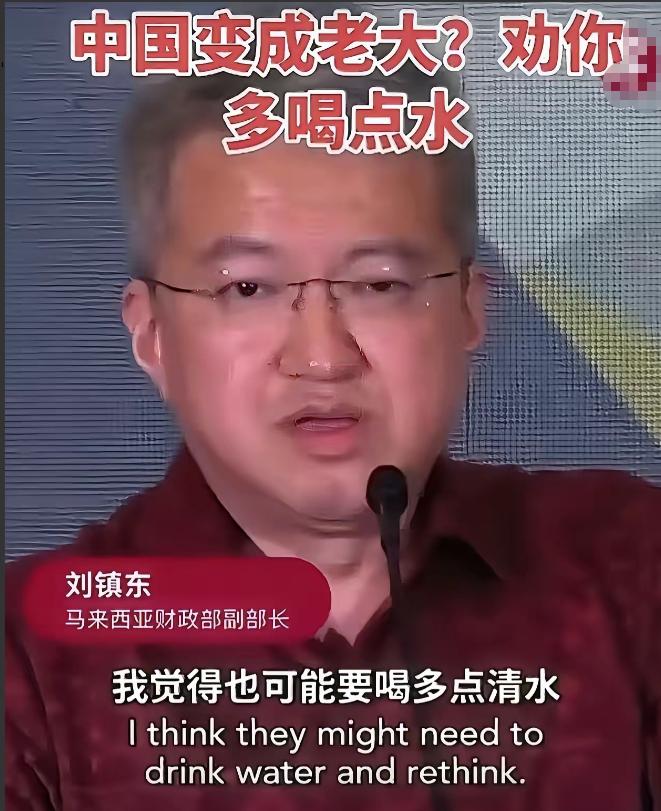 马来西亚副财长刘镇东在国际峰会上开腔了！说觉得中国会当老大的人可能要多喝点清水，