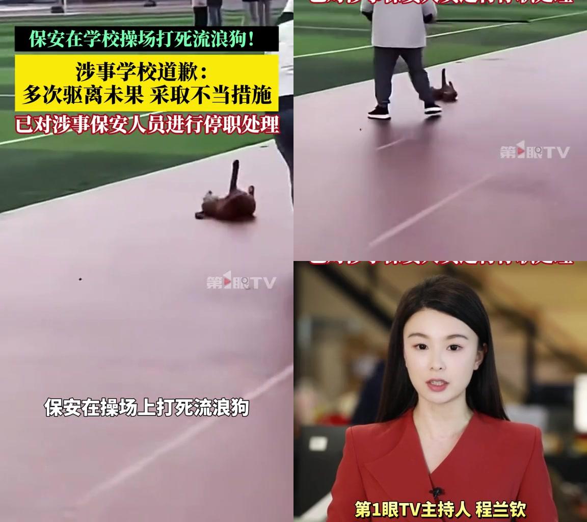 保安护学生打死流浪狗，转头自己被停职？四川贸易学校一编外保安，课间操时碰