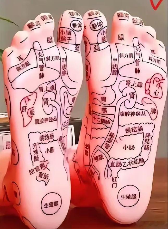 行涌泉疗消渴赋​​夫消渴之疾，古谓“消瘅”，今称“糖病”，乃中焦失运、肾元耗竭之