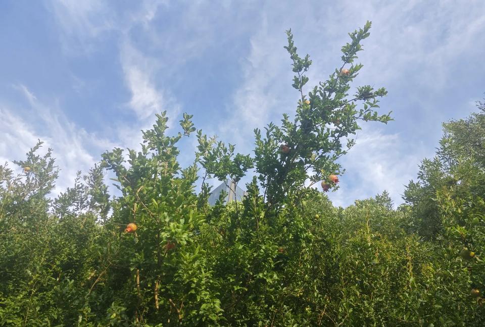 我严厉批评77岁老妈，“老太太，老家39度的高温，您咋不舍得开空调？别再中暑了，