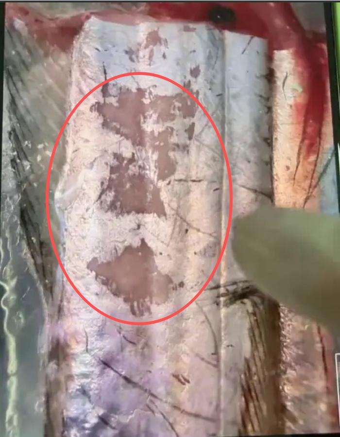 “白嫖成性！”杭州，一女顾客下单998元的带鱼，收到货以鱼表皮有破损为由申请仅退