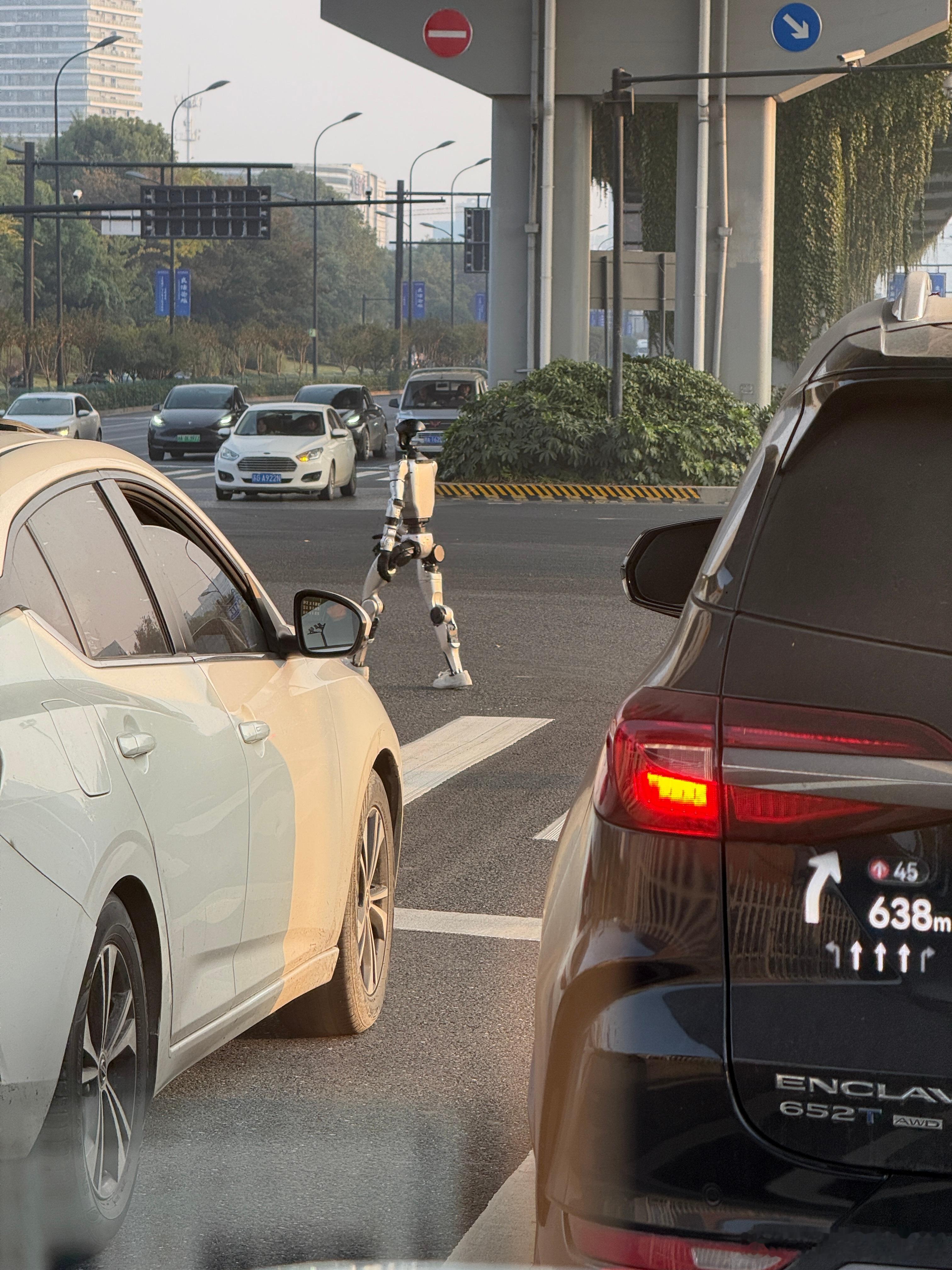 我没看错，确实是机器人在过马路…这就是杭州？