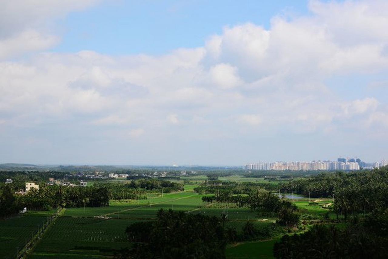 2025年6月，海南岛热出了新高度，气温飙升到41.1℃，直接成了“烸南岛”。4