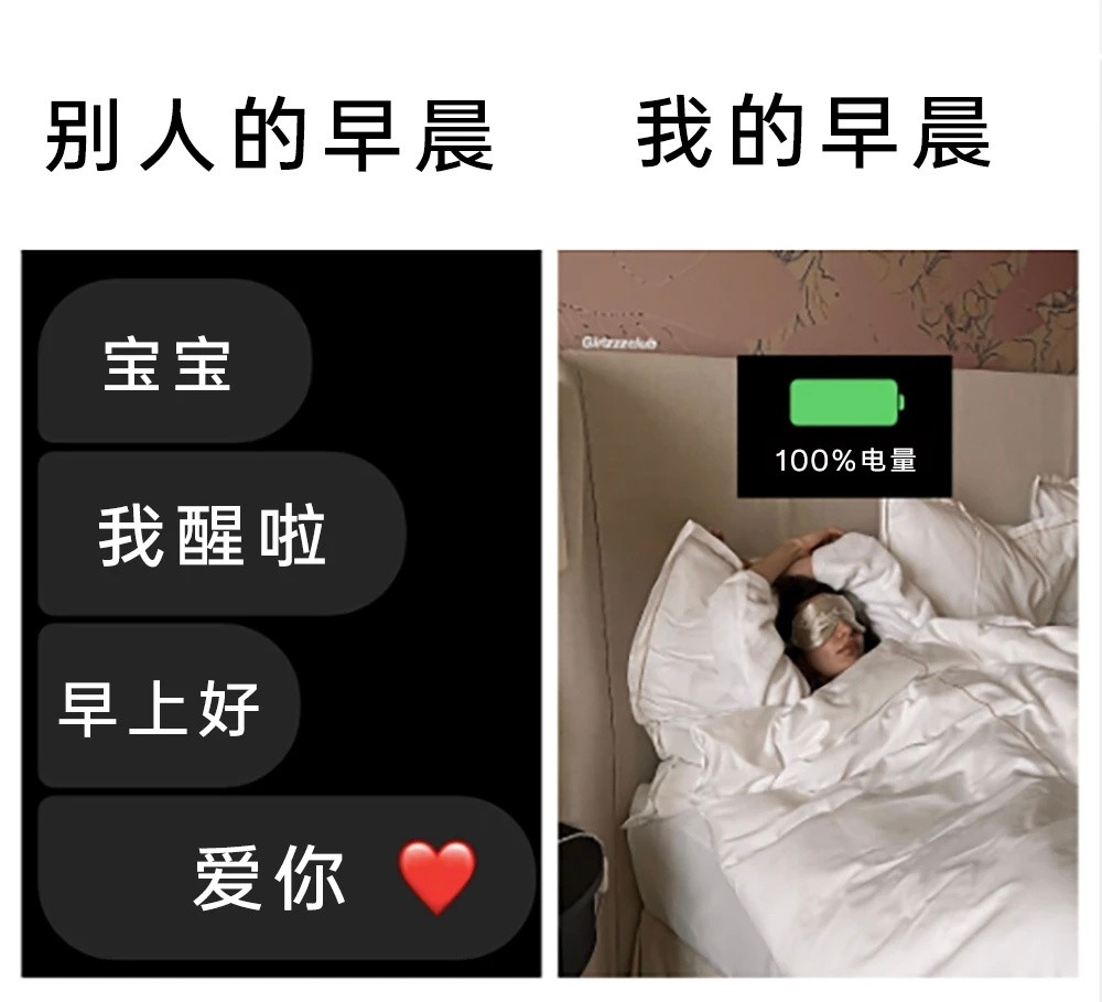 100%电量更有安全感meme